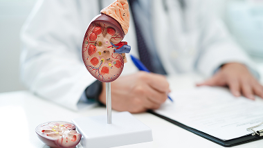 Understanding Kidney Trauma and Permanent Disability